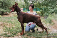 Don Kagjust Eliazar, 23 m.o.